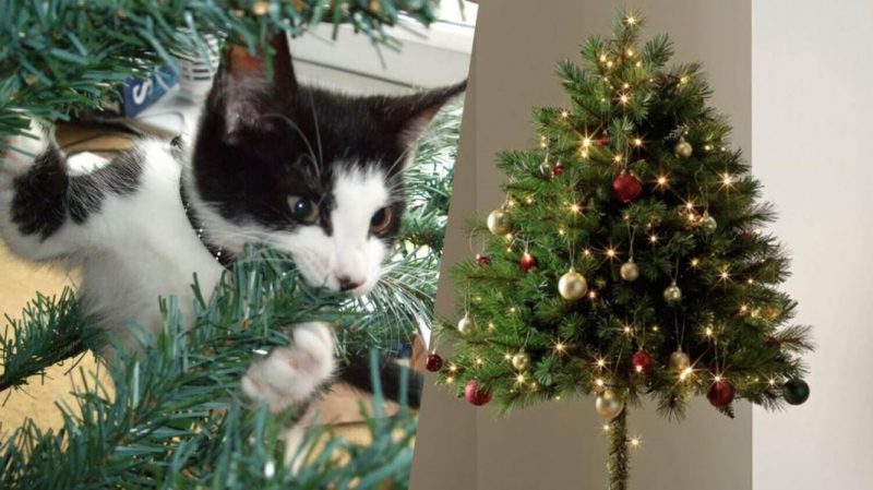 Argos Is Selling Half Christmas Trees For Cat Owners Famous