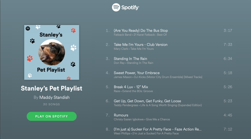 Spotify Generator Makes Playlists For You And Your Pet Pals