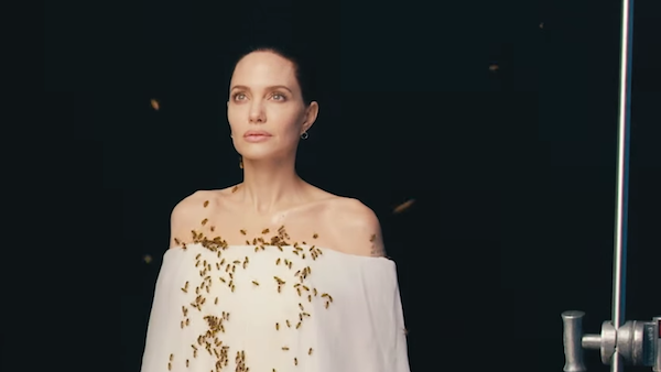Angelina Jolie poses with 60,000 bees to raise awareness of bee