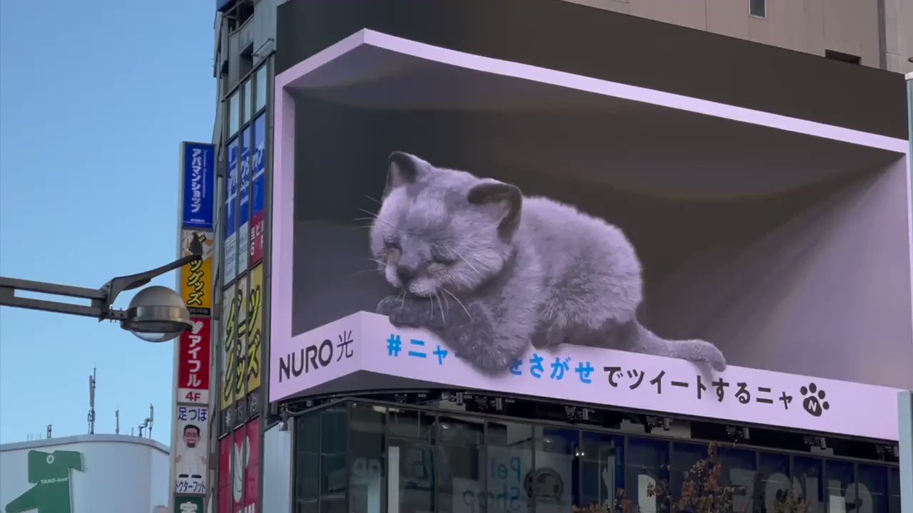 Latest 3D billboard technology brings larger than life kitty from