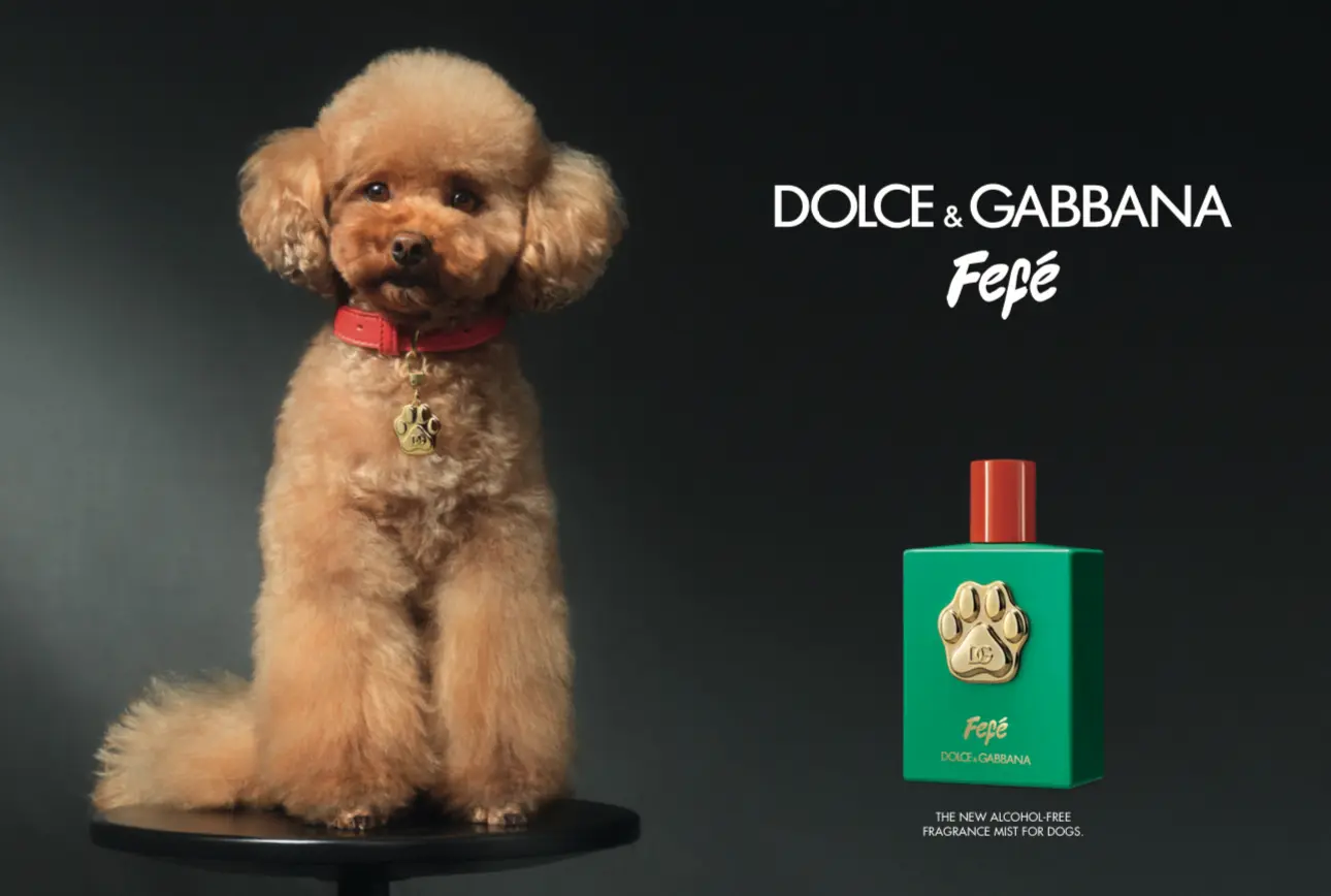 Dolce & Gabbana unveils new perfume for dogs | Famous Campaigns