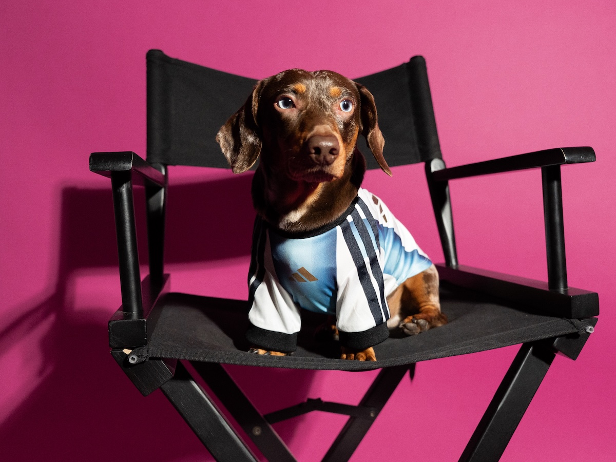 adidas has made World Cup shirts for dogs | Famous Campaigns